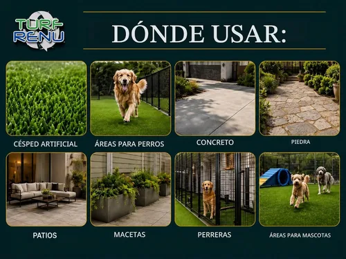 Vista 6 de Tr10132 - Solución de limpieza bio-enzimática para césped sintético/artificial y control de olores de mascotas con pulverizador