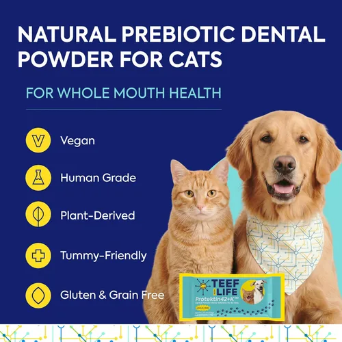 Vista 3 de TEEF FOR LIFE Protektin42K - Recambio de polvo dental prebiótico