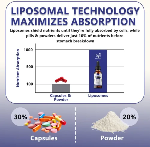 Vista 5 de Suplemento liposomal NAD para mujeres, suplemento líquido NAD con resveratrol, antioxidante natural, apoyo al metabolismo energético y salud