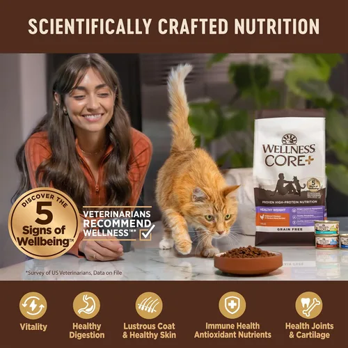 Vista 4 de Wellness CORE+ - Alimento seco para gatos adultos para interiores y exteriores, granos integrales, natural, salud digestiva con pollo y arroz