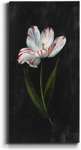 Vista 62 de Renditions Gallery Master Botanical II - Arte de pared, decoración en lienzo de alta calidad con envoltura de galería, listo para colgar, 16