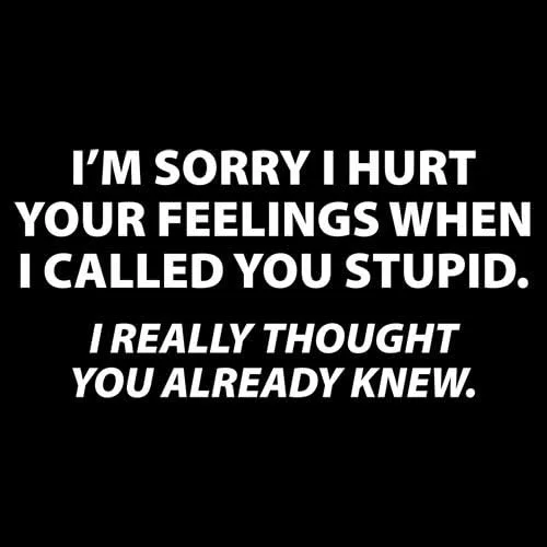 Vista 2 de You Stupid I Thought You Knew Humor Graphic - Camiseta sarcástica divertida