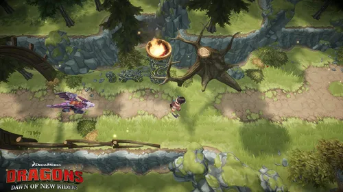 Vista 2 de Dragons Dawn of New Riders (PS4)