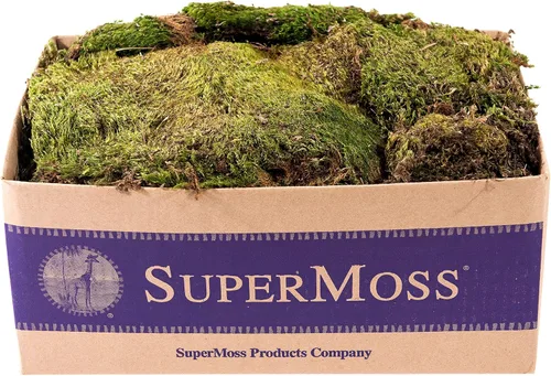 Vista 7 de SuperMoss - Musgo decorativo preservado., Verde fresco