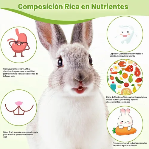 Vista 4 de 100 palitos de heno Timothy para conejos, cobayas, chinchillas, golosinas masticables para masticar, hierba Timothy natural, dientes molares