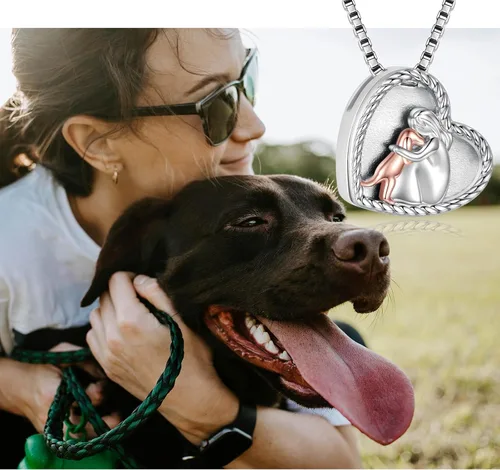 Vista 5 de Collar de urna de perro de plata de ley para cenizas de mascotas, S925 para cremación de piel de mascota, recuerdo conmemorativo, regalo de joyería
