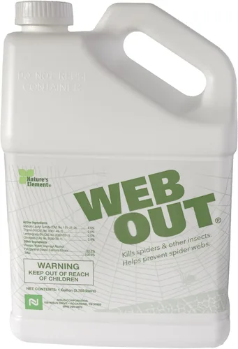Vista 11 de Out Web eliminador de telarañas