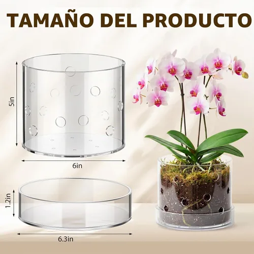 Vista 2 de Maceta de orquídea acrílica transparente de 6 pulgadas con agujeros