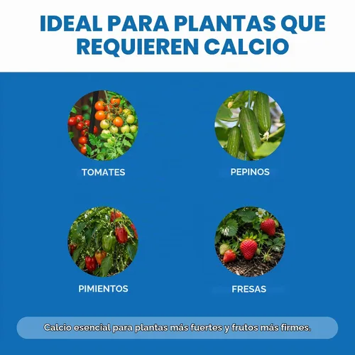 Vista 4 de Calcio para plantas - Suplemento líquido de calcio para un crecimiento más fuerte, 8 onzas
