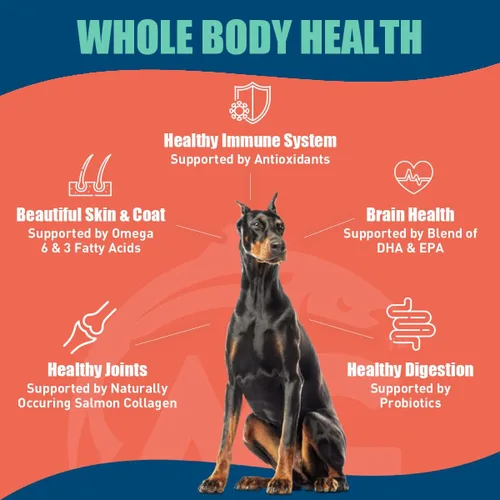 Vista 6 de SUPER3+ Salmón liofilizado de salmón crudo para perros Cachorros y adultos Raza pequeña y grande Alto en proteínas Sin granos Nutrición