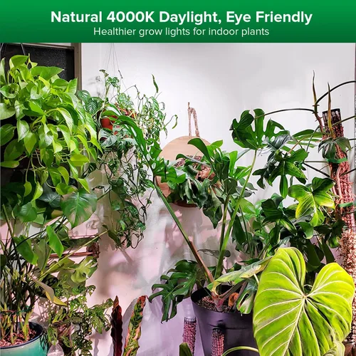 Vista 8 de SANSI Luces de cultivo para plantas de interior, 99 LED lámpara de cultivo de plantas con temporizador, 30 W, 2000 lúmenes, 4000 K, luz de planta