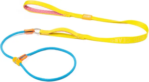 Vista 13 de HowGo Correa antideslizante para perro con 2 tapones con resorte