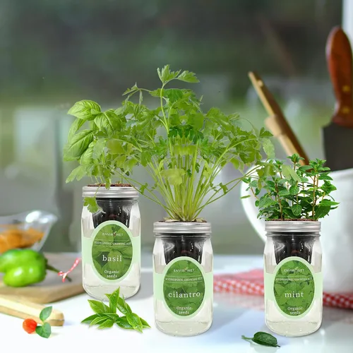 Vista 5 de Kit de cultivo de hierbas hidropónicas, tarro de masón de riego automático para jardín, kit de inicio de jardín de hierbas para interiores, jardín