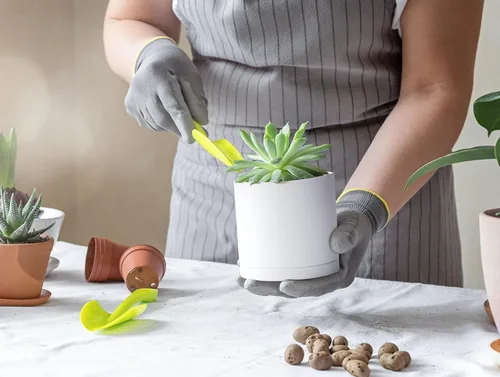 Vista 5 de D'vine Dev - Paquete de 2 macetas de plástico modernas de 4 pulgadas, pequeñas macetas de jardín para plantas con orificios de drenaje y platillos