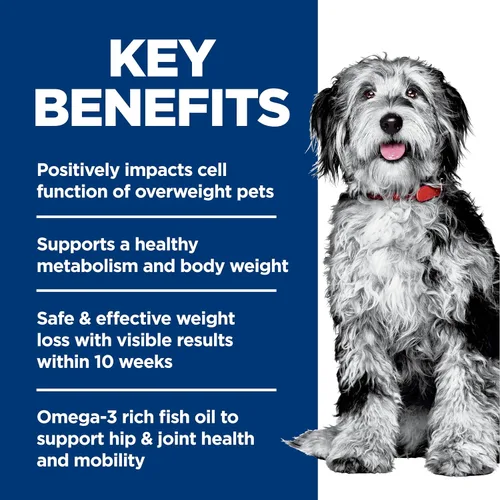 Vista 5 de Hill's Science Diet Peso perfecto y apoyo articular, para perros adultos de 1 a 6 años, manejo del peso y apoyo articular, alimento seco