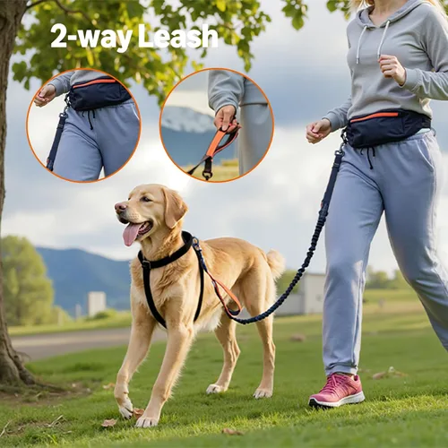 Vista 6 de Amazon Basics Correa para perro manos libres con bolsa para correr, cinturón ajustable, asas acolchadas dobles, correa elástica reflectante