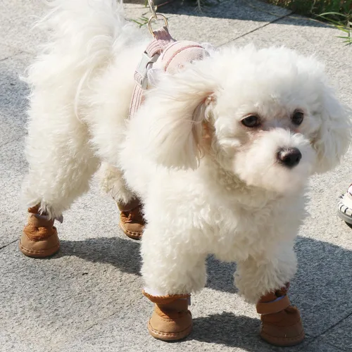 Vista 3 de URBEST - Botitas con cierre de velcro para perro, 2 pares de botas para chihuahua
