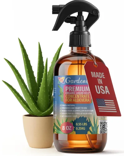 Vista 40 de GARDENERA Spray orgánico profesional de algas marinas para plantas AGLAONEMA – 8 oz – Rocío fertilizante de algas marinas y algas marinas totalmente