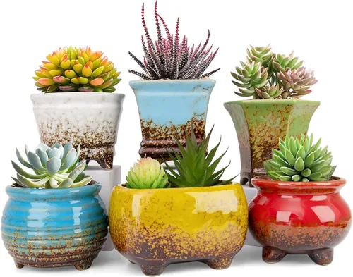 Vista 8 de ARTKETTY Succulent Pots, Small Plant Pots with Drainage Set of 6 Colorido-B