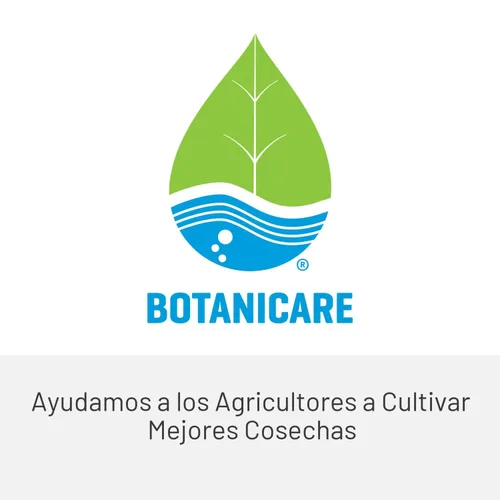Vista 10 de Botanicare CAL-MAG Plus suplemento de planta fórmula 2-0-0, 1 cuarto, Sencillo