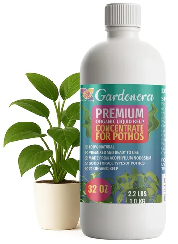 Vista 85 de GARDENERA Superalimento orgánico prémium de algas marinas y algas marinas para plantas AROID - 32 oz - Concentrado de fertilizante líquido de algas