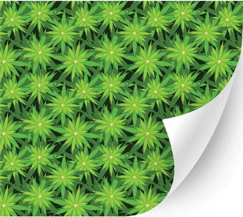 Vista 13 de 4/20Cannabis Orajet 3164 Vinilo adhesivo brillante (hojas coloridas de cannabis, 11 x 12 pulgadas) – Vidrio para automóvil, calcomanías