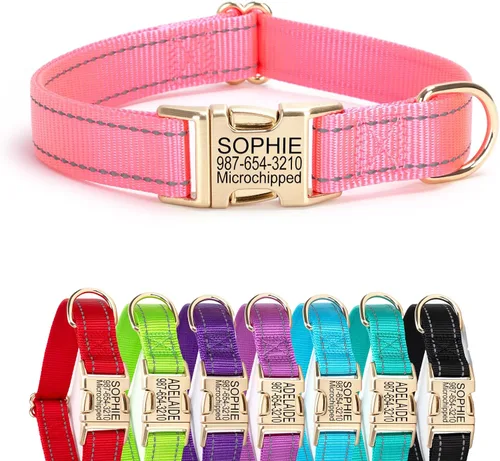 Vista 12 de Collar de perro de nailon reflectante personalizado con etiqueta de nombre Collares de perro con hebilla dorada grabados personalizados Collar