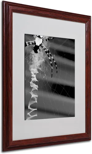Vista 7 de Trademark Fine Art Patty Tuggle - Arte enmarcado con diseño de araña y tela en blanco y negro con marco de madera, 11 x 14 pulgadas