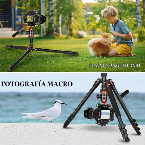 Vista 8 de Trípodes para cámara y soporte para proyector, trípode 2 en 1 para cámara con bandeja de metal extraíble, trípode resistente para DSLR. Proyector.
