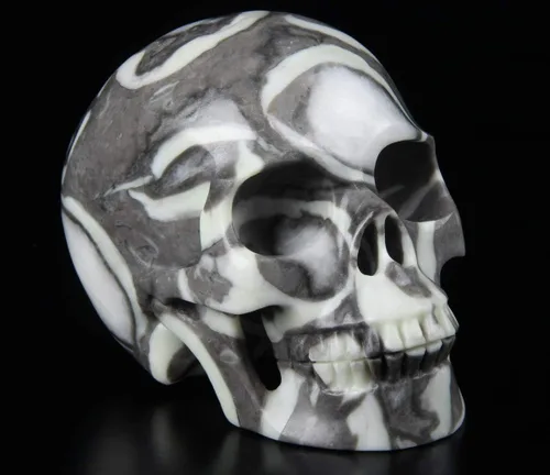Vista 2 de Skullis Cráneo de cristal fósil raro de 2.0 pulgadas, escultura de arte fino de piedras preciosas talladas a mano, estatua de piedra curativa