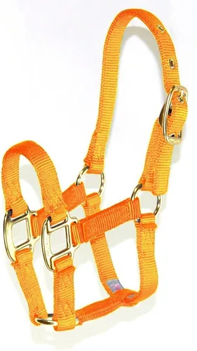 Vista 12 de Hamilton Deluxe - Caballo ajustable, 100-200 libras, color negro Premium Quality 3/4" Triple Ply Nylon, Foal/Mini Horse, Adjustable Chin Strap