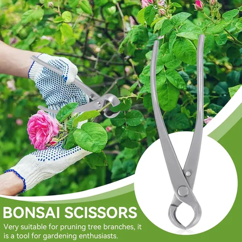 Vista 6 de Bonsái Tools - Cortador cóncavo de 7.087 in BonsaiCutters Cortador de ramas Bonsái Tijera de árbol podadora BonsaiTrimmer Herramientas de jardinería