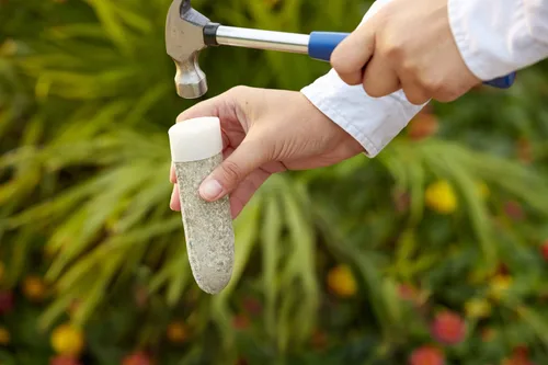Vista 5 de Miracle-GRO Picos de alimento para plantas de frutas y cítricos, 12 picos (paquete de 2) 10-15-15 NPK Nutrición fácil de usar para árboles