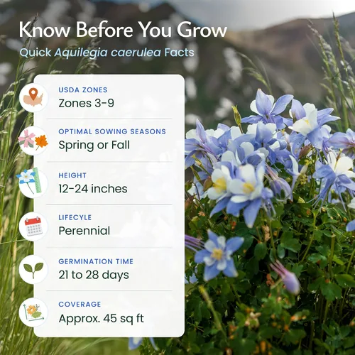 Vista 6 de Semillas de Columbina Azul, Aquilegia caerulea, Perenne, 2,400 Semillas, 45 pies cuadrados Pollinator-friendly Blue Columbine seeds attract bees