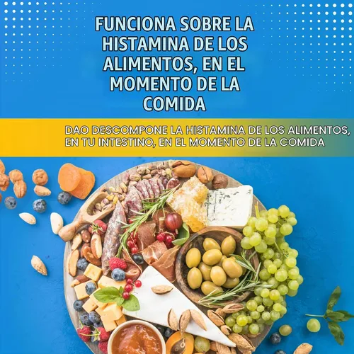 Vista 3 de DAO Supplements Bloqueador de Histamina – Fórmula Avanzada de Enzima DAO y Vitamina C para Digestión de Histamina y Soporte de Intolerancia