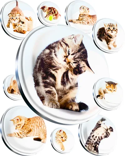 Vista 12 de Imanes de cristal súper lindos – Juego de multipack decorativo con agarre fuerte – Ideal para nevera, taquillas, fotos y notas