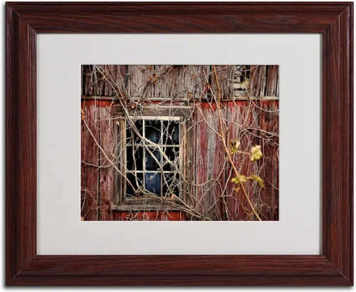 Vista 2 de Trademark Fine Art Lois Bryan - Arte enmarcado con marco de madera, 11 x 14 pulgadas