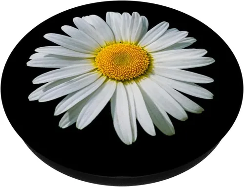 Vista 2 de White Gerbera Daisy Flower PopSockets PopSockets de fondo negro intercambiable PopGrip