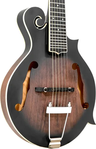 Vista 3 de Goldtone F-6 Manditar Cutaway Mando-Guitarra con estuche