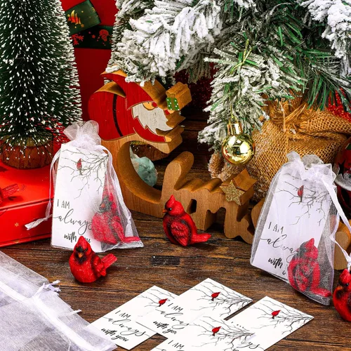 Vista 4 de Roowest El juego de 18 piezas de regalo conmemorativo cardenal incluye mini figuras de estatua de pájaro cardenal rojo, tarjetas de plumas rojas