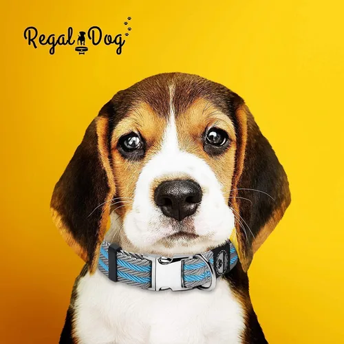 Vista 7 de Regal Dog Products Collar grande para mascotas con hebilla grabada personalizada, collares de sarga duraderos para perros pequeños, collares