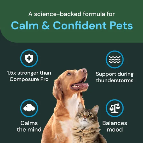 Vista 4 de VETRISCIENCE Max Veterinary Strength Calm & Confident Chews - Suplemento de estrés para mascotas - Apoya la función cerebral para gatos y perros