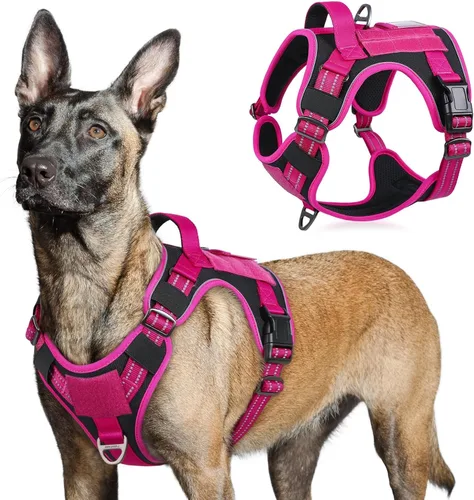 Vista 68 de rabbitgoo Arnés táctico para perros pequeños, chaleco de servicio militar sin tirones con asa y Molle, de fácil control para entrenar y caminar