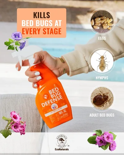 Vista 5 de All Natural Bed Bug Spray -Non-Toxic Bed Bugs Killer - 2 Bottle Pack 16 oz + 1 oz Concentrate - Fast-Acting Beds Bug Killer Kills Fleas and Mites
