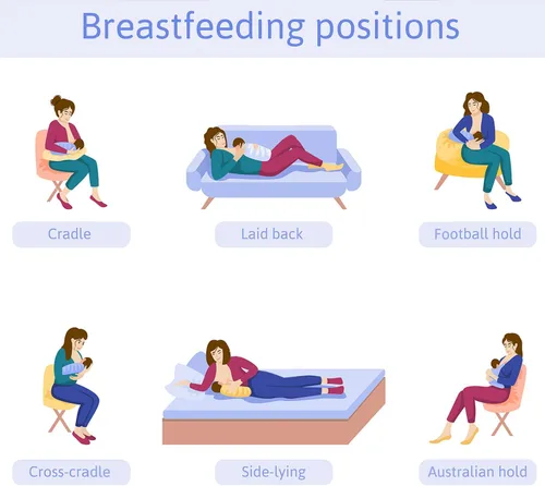 Vista 7 de Almohada de brazo de alimentación para bebé, almohada de algodón suave para recién nacido, almohada de lactancia para bebé, almohada de apoyo