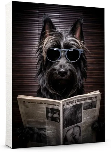 Vista 42 de Thuan Affenpinscher - Póster de lienzo con tus fotos, arte de pared para decoración del hogar, regalo conmemorativo para amantes de las mascotas