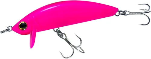 Vista 12 de Minnow de superficie costera 3D