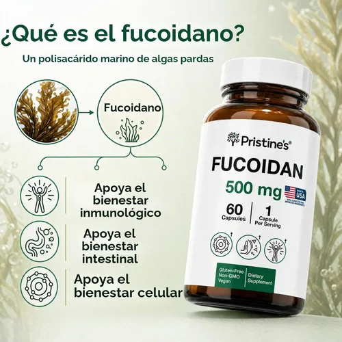 Vista 3 de PRISTINE'S Fucoidan - Cápsulas de extracto de algas marrones de 500 mg