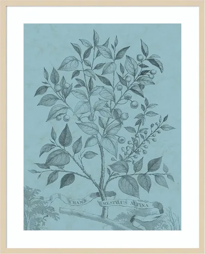 Vista 6 de Amanti Art Vision Studio - Póster enmarcado de 24 x 20 pulgadas, diseño botánico en V verde azulado por Vision Studio, arte de pared de naturaleza