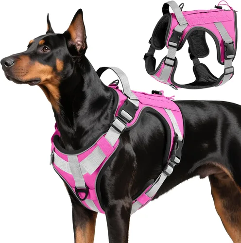 Vista 42 de VavoPaw cinturón de seguridad para perro, arnés de coche con hebilla ajustable para perro, cinturón de seguridad de nailon para mascotas, resistente